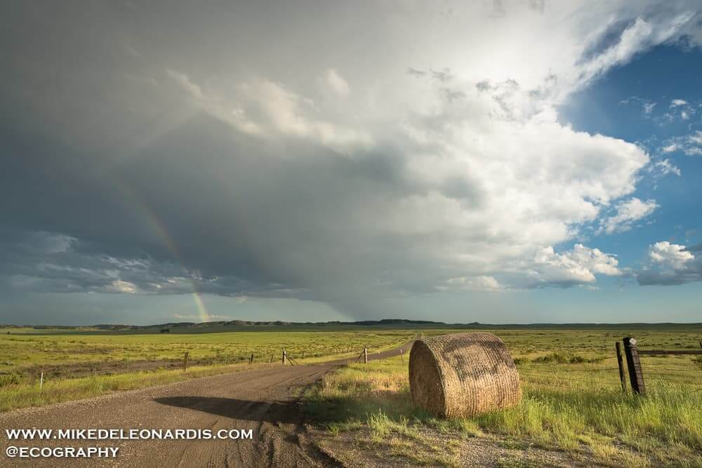 Montana - Following severe storms in Montana led me to this beautiful dirt road off of U.S. Route 12. The rainbow was perfectly positioned against the background storm that I had to pull over and take this picture.