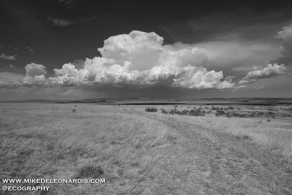Wyoming Prairie Storm
