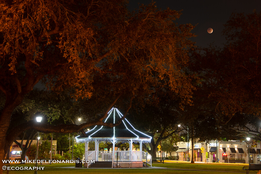 Total Lunar Eclipse Over Miami Springs