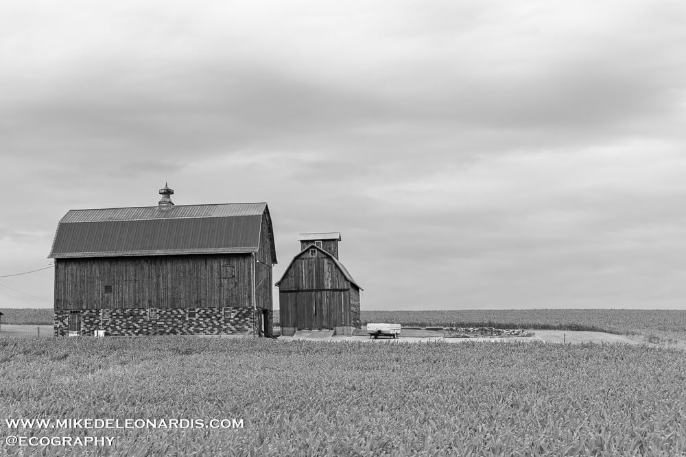 Lonely Barn In Iowa
