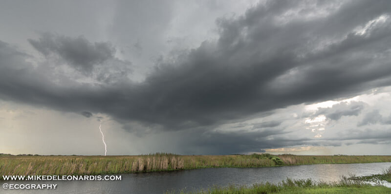 Lightning In The Everglades